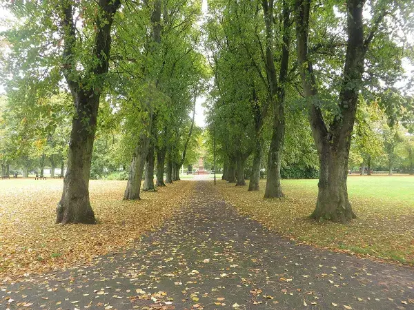 Gosforth