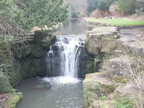 Jesmond